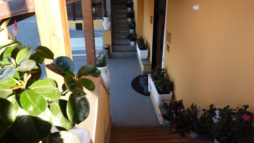 Affittacamere Stranamore Frascati Buitenkant foto